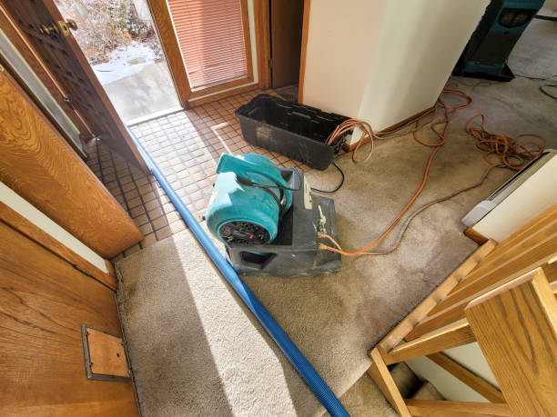 Best Fire Damage Restoration  in Lakeway, TX
