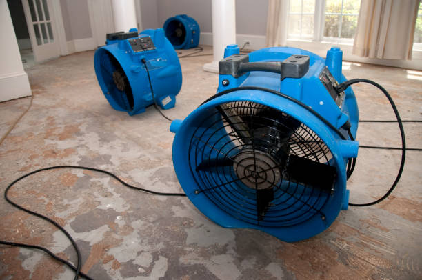 Best Ceiling water damage repair  in Lakeway, TX